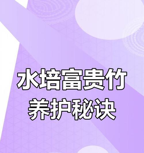 富贵竹养护技巧：如何快速生根，避免黄叶？
