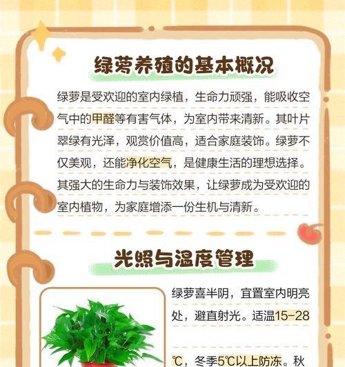 绿萝的魅力与科学养护指南是什么？