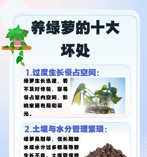 绿萝的魅力与科学养护指南是什么？
