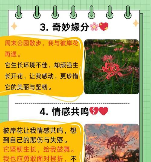 彼岸花有什么寓意？你知道吗？
