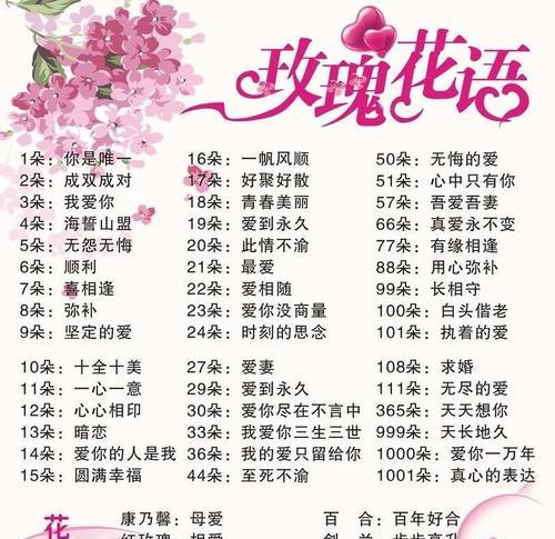 雏菊与杭菊的关系是什么？它们是亲戚还是同名不同命？