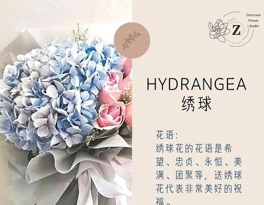 雏菊与杭菊的关系是什么？它们是亲戚还是同名不同命？