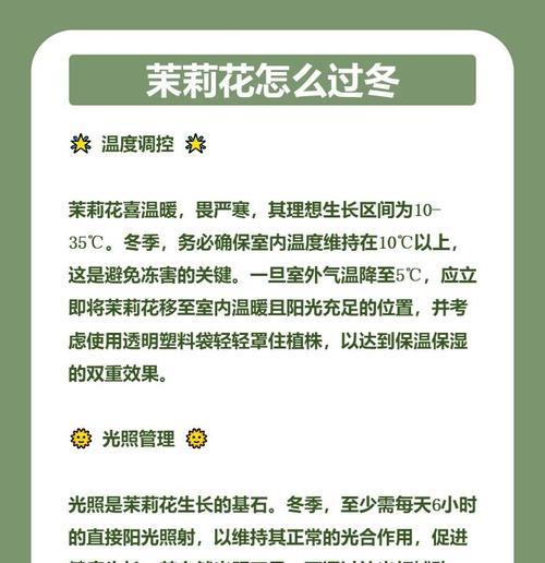 如何让茉莉花常开不败？茉莉花养护全攻略是什么？
