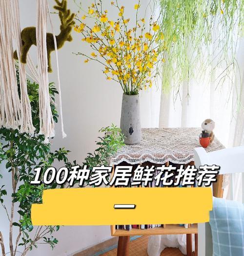 跳舞兰的简介是什么？跳舞兰的养护指南有哪些？