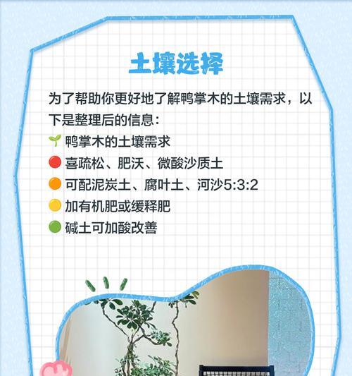 鸭掌木的养护方法是什么？
