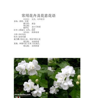 南方适合种植哪些牡丹花品种？