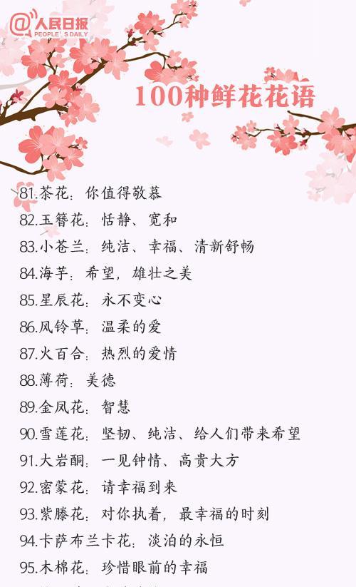 金品大绿君子兰的养护技巧有哪些？
