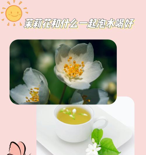 玫瑰花与茉莉花搭配插花的技巧是什么？