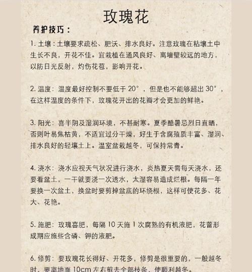 玫瑰花移栽时土壤的要求是什么？