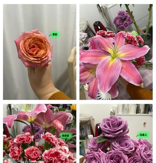 玫瑰花日常养护需要注意哪些问题？