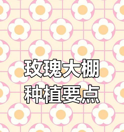 在大棚中种植阳光玫瑰花的技巧有哪些？