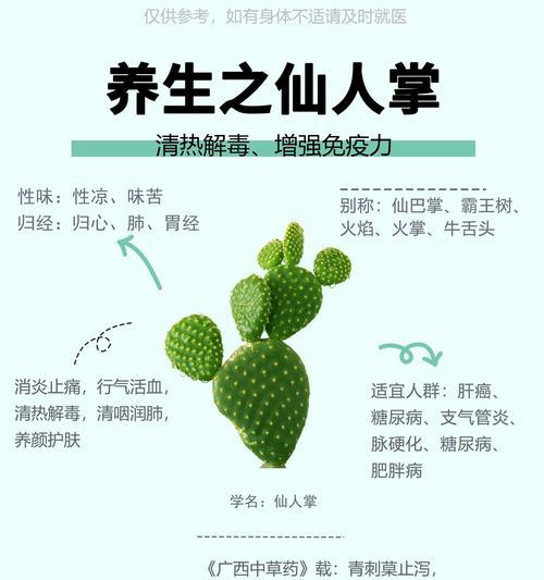 招财仙人掌好养吗？正确的养护步骤是什么？