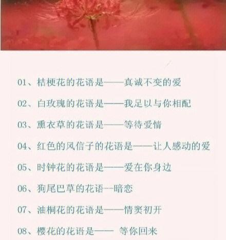 独束浪漫玫瑰花的养殖技巧有哪些？