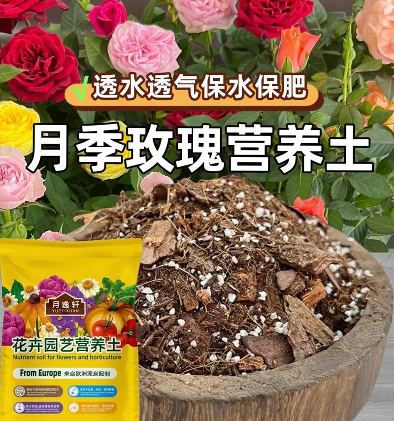 适合玫瑰花生长的土壤类型有哪些？