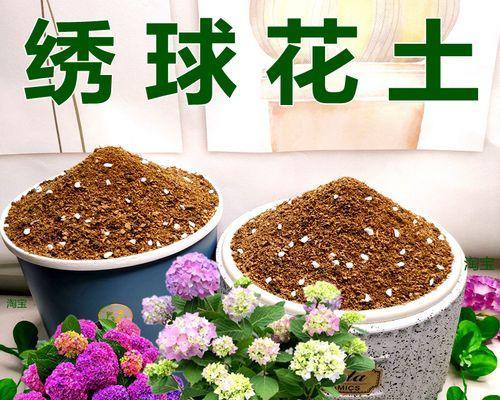 适合玫瑰花生长的土壤类型有哪些？