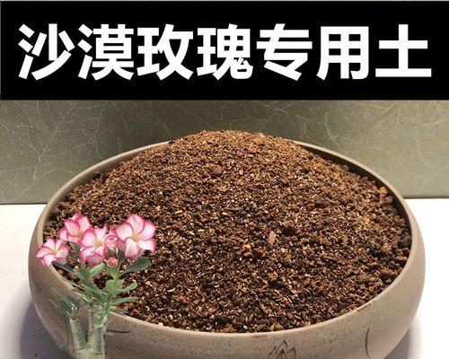 适合玫瑰花生长的土壤类型有哪些？