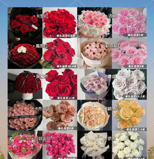 不同颜色玫瑰花的花语分别是什么？