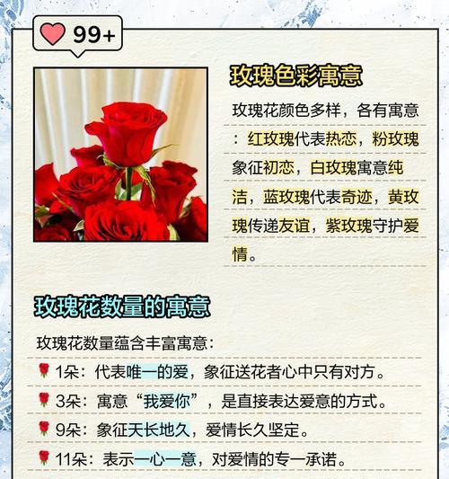 不同颜色玫瑰花的花语分别是什么？