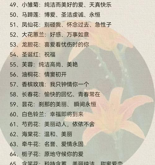 不同颜色玫瑰花的花语分别是什么？