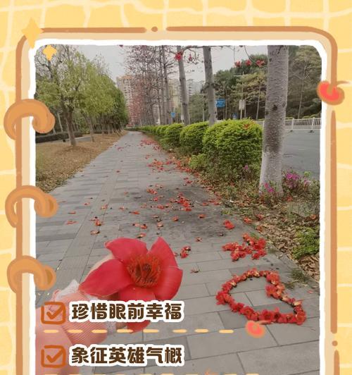 木棉的花语和象征意义有哪些？