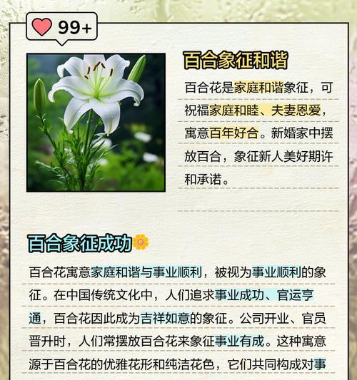 百合花白色花语有何含义？代表了什么？