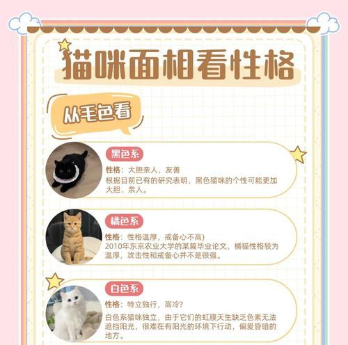猫儿脸的花语是什么？猫儿脸象征着什么？