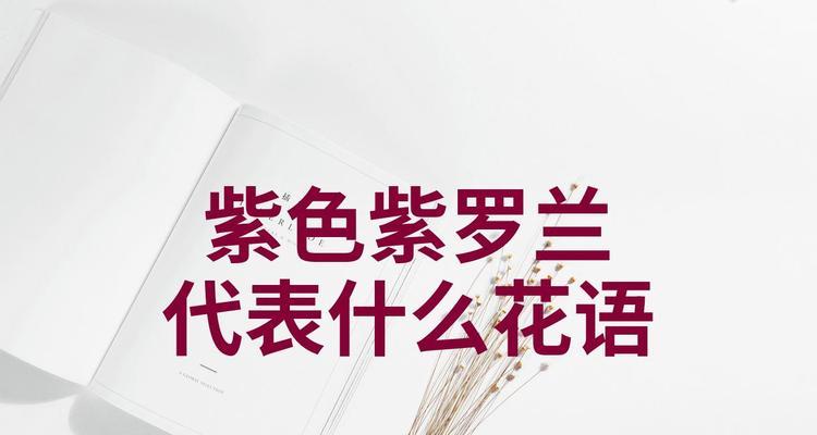 紫罗兰玫瑰的花语有何特别之处？