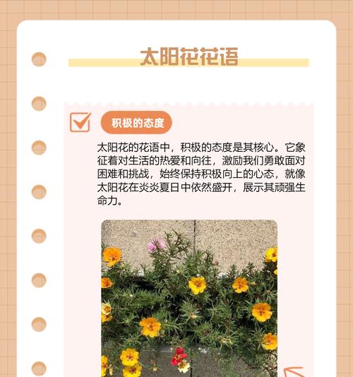 哪种花的花语象征着成功？