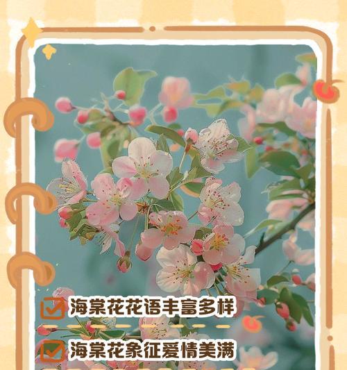 哪种花的花语象征着成功？