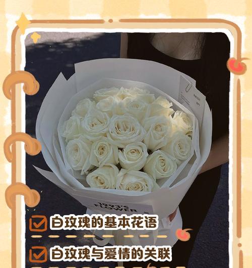 白玫瑰的花语对长辈有何寓意？