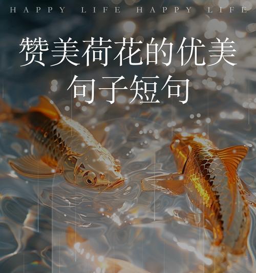 荷花在日本的花语有何不同？日本文化中的荷花含义是什么？