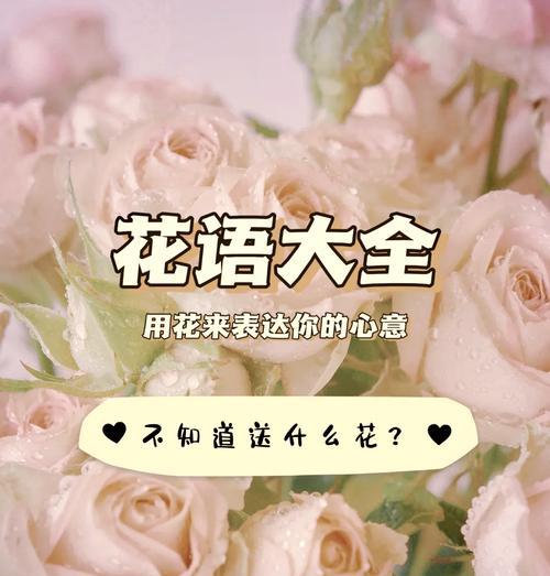 花卉大全名称花语是什么？如何查询每种花卉的花语？