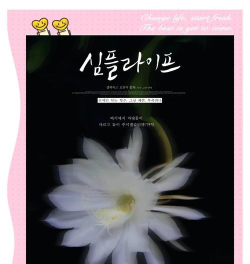 昙花的花语及象征是什么？昙花在文化中的意义是什么？