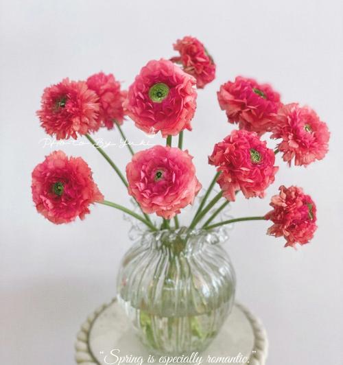 西瓜的花语有哪些？西瓜寓意着什么？