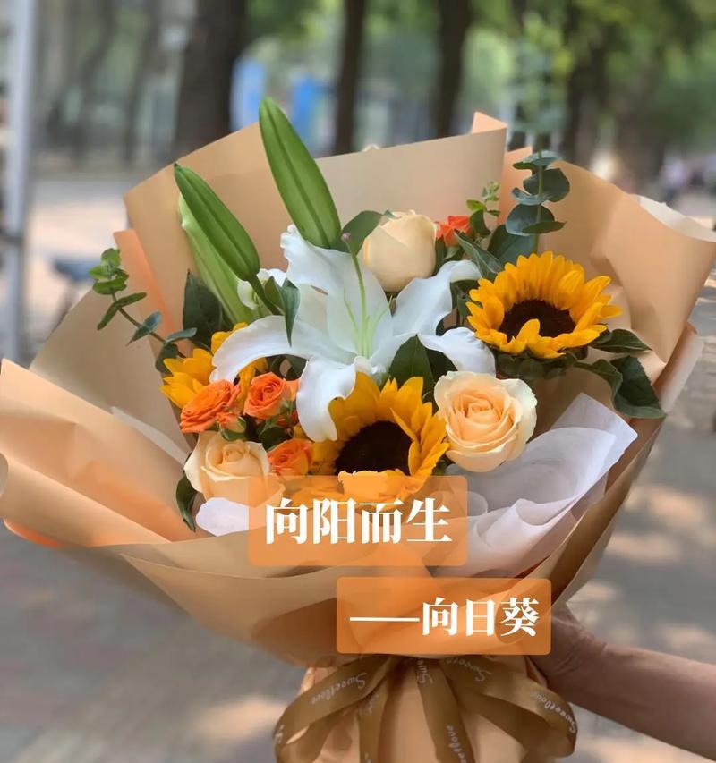 太阳花的花语是什么？如何进行花艺搭配？