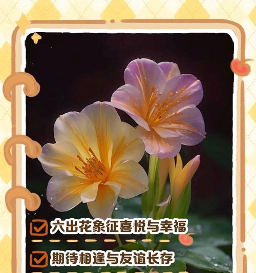 公主花的寓意是什么？它的花语有哪些？