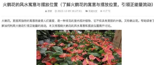 火鹤花的花语是什么？它象征着什么？
