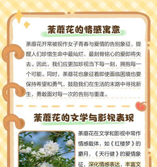 生命的花语是什么？如何通过花语表达对生命的赞美？