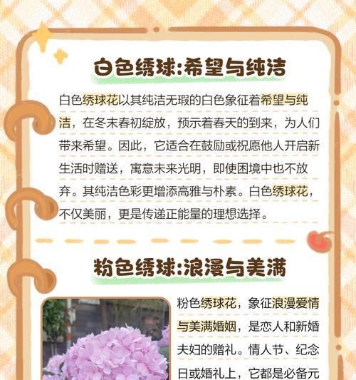 哪些花朵带有可爱的花语？如何用花语表达可爱？