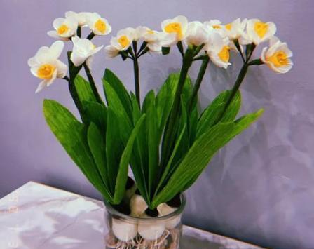 过年送水仙的花语含义是什么？水仙花代表了哪些祝福？