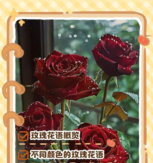 如何用花语表达对重要人的感情？有哪些花语适合表达重要情感？