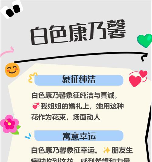 如何用花语表达对重要人的感情？有哪些花语适合表达重要情感？