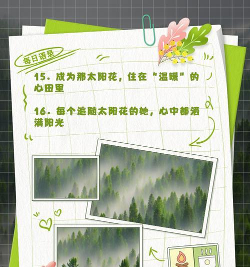玫瑰和太阳花的花语分别是什么？它们各自代表了什么？