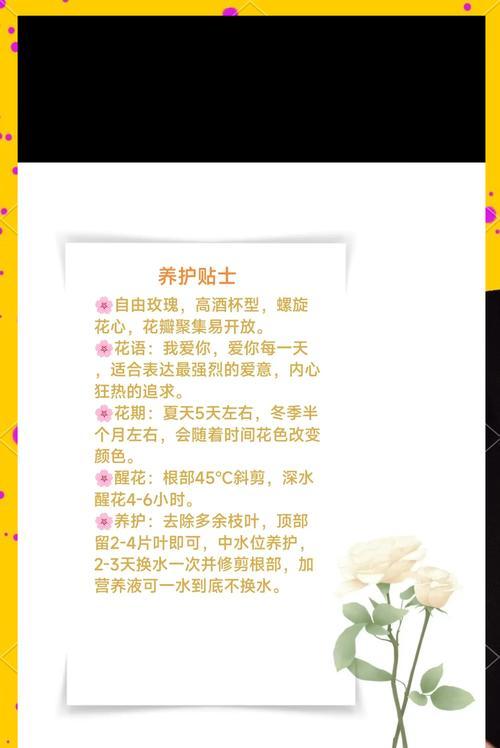 不同的花语为何能表达相同的爱意？