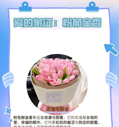 沉默永恒的爱花语是什么？它在花语中代表什么？
