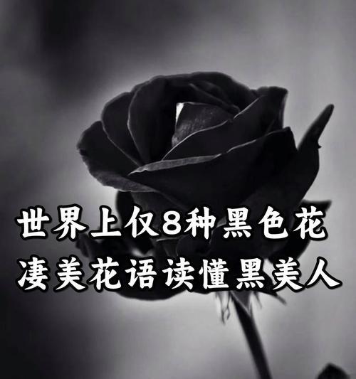 最凄美的爱情花语是什么？有哪些花可以表达这种情感？