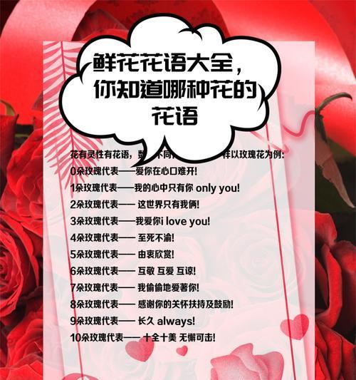 什么花花语是柔和？它在花语中象征着什么？