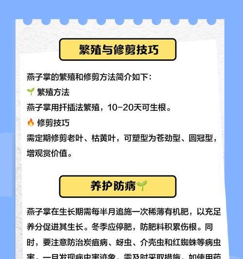 燕子掌的花语代表什么？寓意有哪些？
