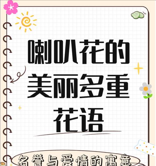 牵牛花的花语是什么？寓意有哪些？