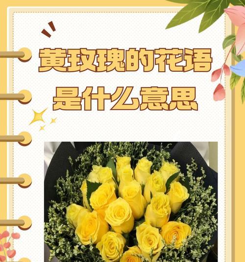 友谊的花语是什么？寓意表有哪些？